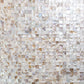 White Beige 12x12 Polished Square Shell Mother of Pearl Mosaic Tile (20 pack, 19.34 sq ft/case)