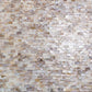 White Beige 12x12 Polished Brick Shell Mother of Pearl Mosaic Tile (20 pack, 18.52 sq ft/case)