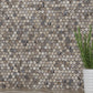 Beige 12x12 Glossy Penny Round Glass Mosaic Tile (10 pack, 10.34 sq ft/case)