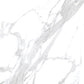 Statuary White 24x24 Polished Square Porcelain Large Format Tile (4 pack, 15.5 sq ft/case)