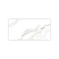 Bright White Gold 24x48 Polished Porcelain Large Format Tile (2 pack, 15.5 sq ft/case)