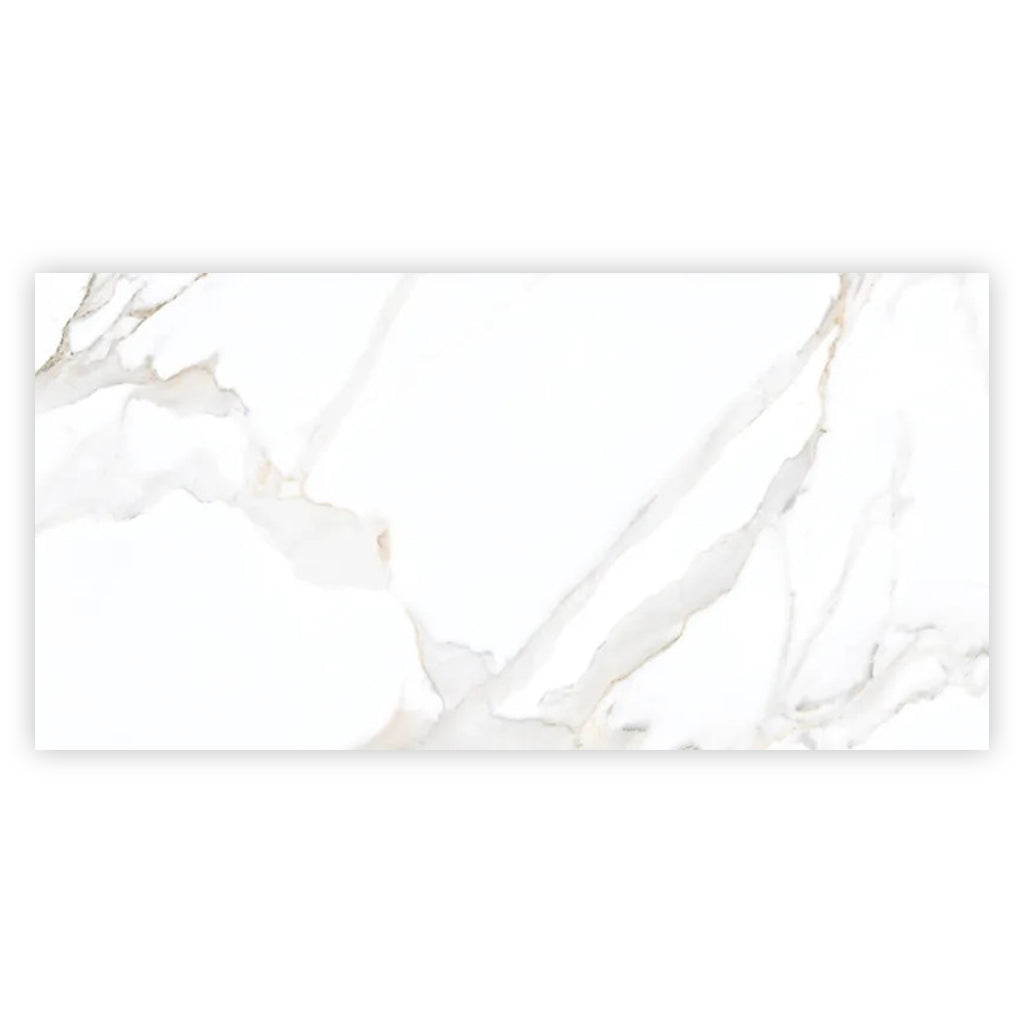 Bright White Gold 24x48 Polished Porcelain Large Format Tile (2 pack, 15.5 sq ft/case)