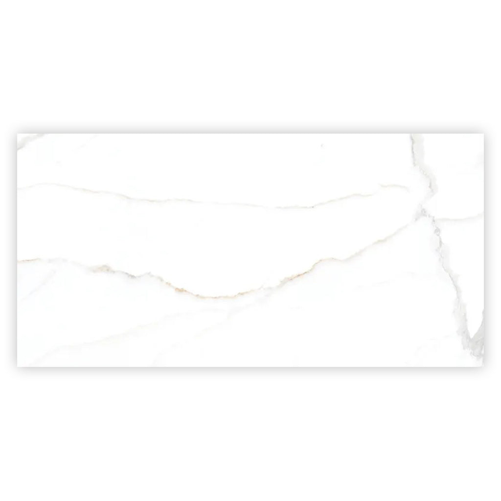 Bright White Gold 24x48 Polished Porcelain Large Format Tile (2 pack, 15.5 sq ft/case)