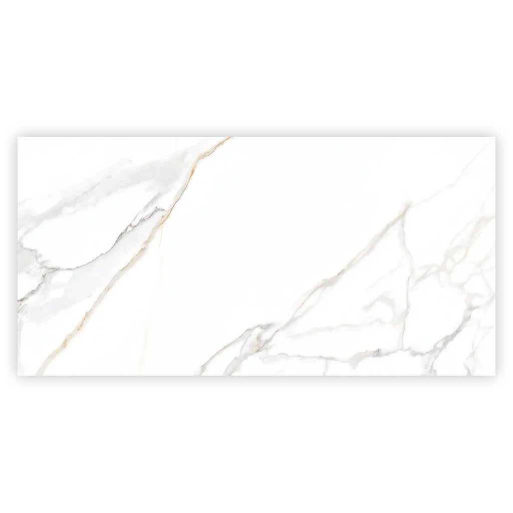 Bright White Gold 24x48 Polished Porcelain Large Format Tile (2 pack, 15.5 sq ft/case)