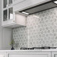 White Gray 10x12 Polished Hexagon Bianco Carrara Thassos Marble Mosaic Tile (5 pack, 4.34 sq ft/case)