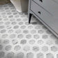 White Gray 10x12 Polished Hexagon Bianco Carrara Thassos Marble Mosaic Tile (5 pack, 4.34 sq ft/case)