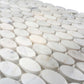White 11x12 Polished Oval Marble Mosaic Tile (5 pack, 4.51 sq ft/case) - Sample