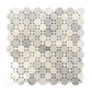 White 12x12 Polished Penny Round Marble Mosaic Tile (5 pack, 4.83 sq ft/case) - Sample