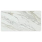 White with Gray Vein 24x48 Polished Porcelain Large Format Tile (2 pack, 15.42 sq ft/case) - Sample
