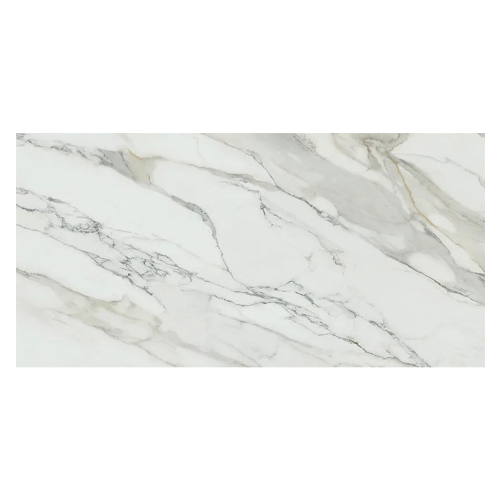 White with Gray Vein 24x48 Matte Porcelain Large Format Tile (2 pack, 15.42 sq ft/case) - Sample