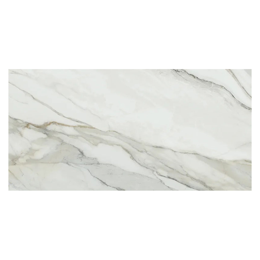 White with Gray Vein 24x48 Matte Porcelain Large Format Tile (2 pack, 15.42 sq ft/case) - Sample