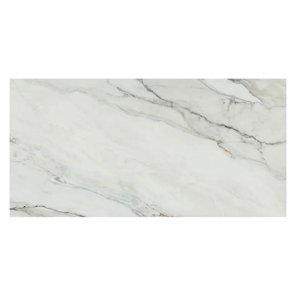 White with Gray Vein 24x48 Matte Porcelain Large Format Tile (2 pack, 15.42 sq ft/case) - Sample