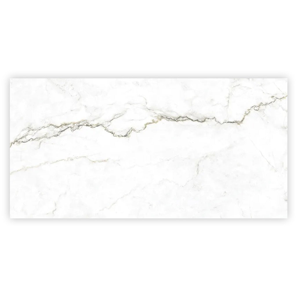 Pearl White with Gray Vein 24x48 Matte Porcelain Large Format Tile (2 pack, 15.5 sq ft/case) - Sample