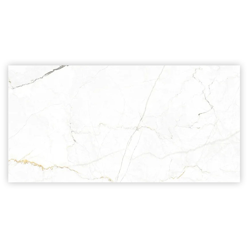 Pearl White with Gray Vein 24x48 Matte Porcelain Large Format Tile (2 pack, 15.5 sq ft/case) - Sample