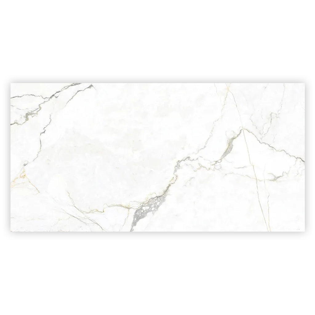 Pearl White with Gray Vein 24x48 Matte Porcelain Large Format Tile (2 pack, 15.5 sq ft/case) - Sample