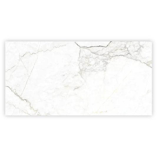 Pearl White with Gray Vein 24x48 Matte Porcelain Large Format Tile (2 pack, 15.5 sq ft/case) - Sample