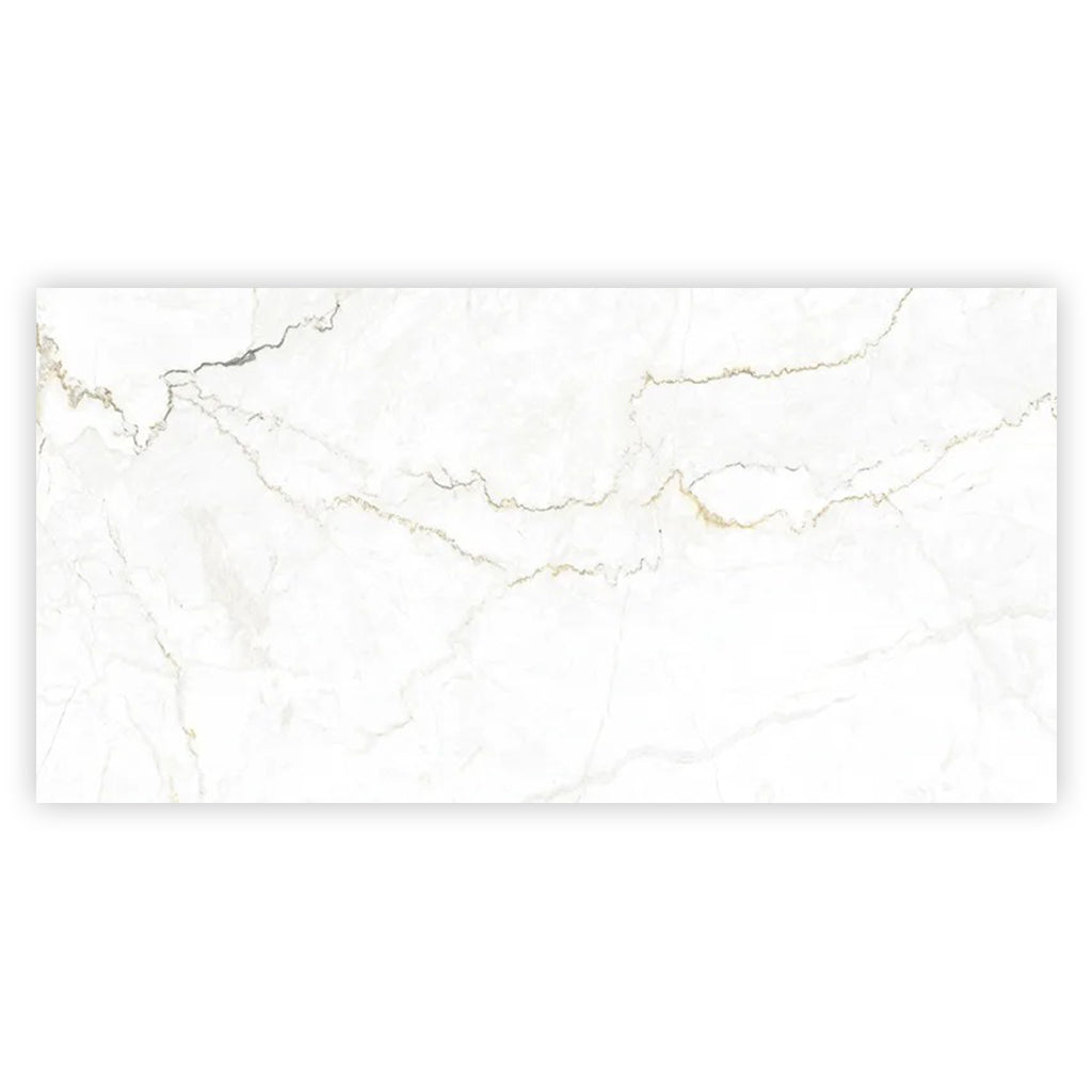 Pearl White with Gray Vein 24x48 Matte Porcelain Large Format Tile (2 pack, 15.5 sq ft/case) - Sample
