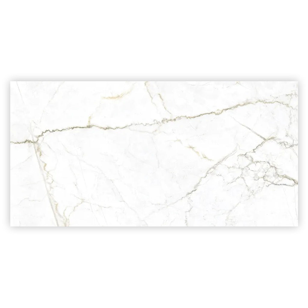 Pearl White with Gray Vein 24x48 Matte Porcelain Large Format Tile (2 pack, 15.5 sq ft/case) - Sample