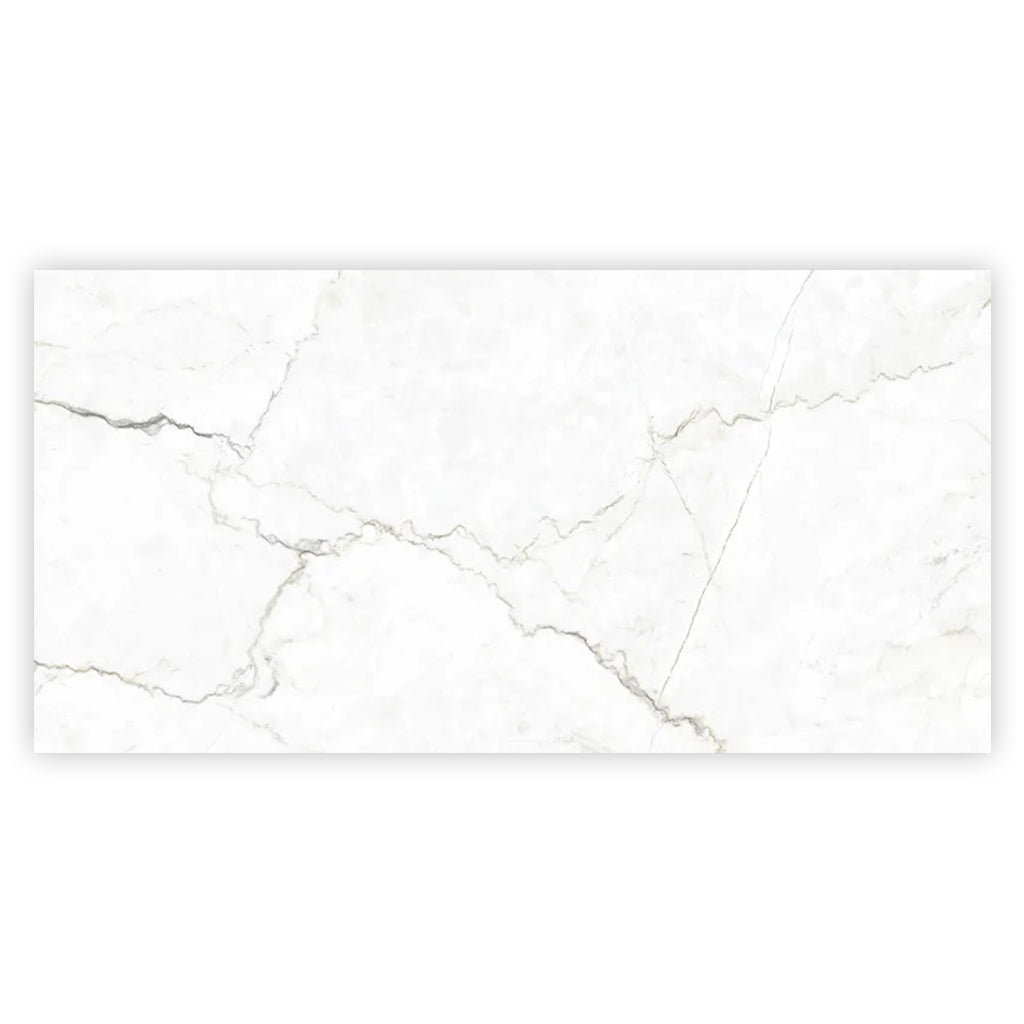 Pearl White with Gray Vein 24x48 Matte Porcelain Large Format Tile (2 pack, 15.5 sq ft/case) - Sample