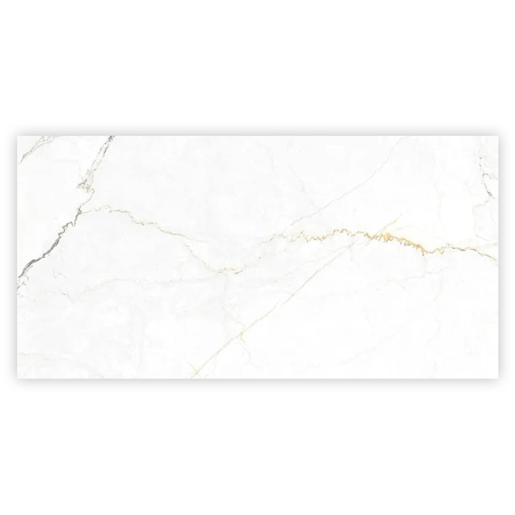 Pearl White with Gray Vein 24x48 Matte Porcelain Large Format Tile (2 pack, 15.5 sq ft/case) - Sample