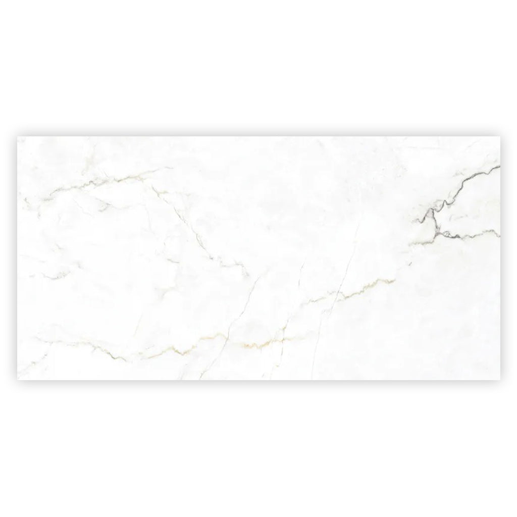 Pearl White with Gray Vein 24x48 Matte Porcelain Large Format Tile (2 pack, 15.5 sq ft/case) - Sample