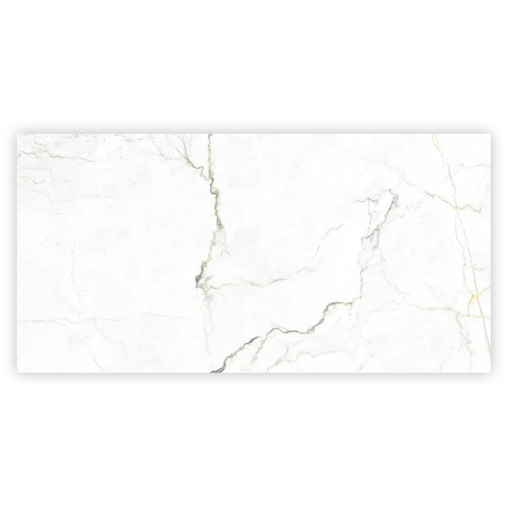 Pearl White with Gray Vein 24x48 Matte Porcelain Large Format Tile (2 pack, 15.5 sq ft/case) - Sample