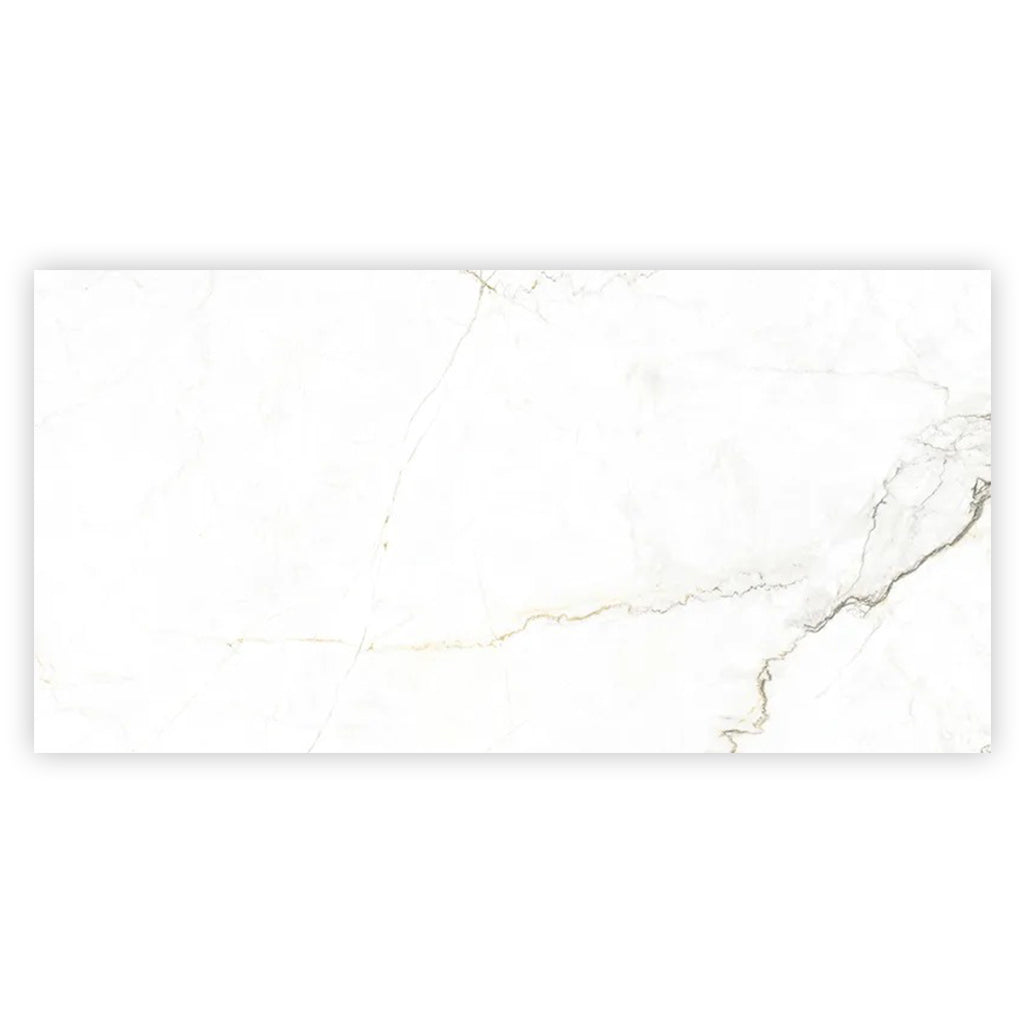 Pearl White with Gray Vein 24x48 Matte Porcelain Large Format Tile (2 pack, 15.5 sq ft/case) - Sample