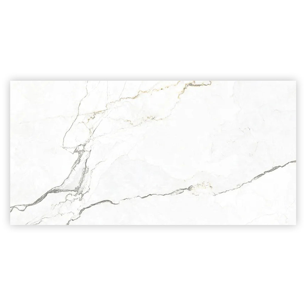 Pearl White with Gray Vein 24x48 Matte Porcelain Large Format Tile (2 pack, 15.5 sq ft/case) - Sample