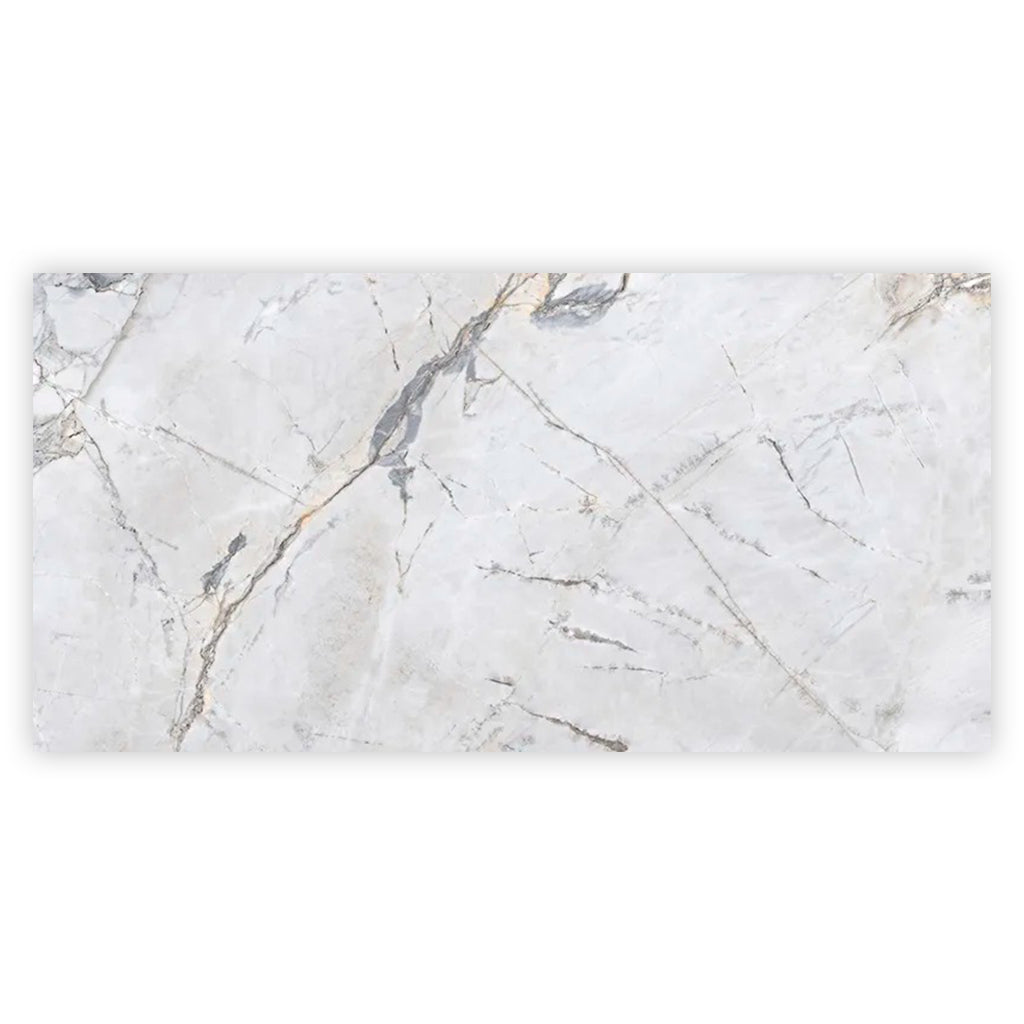 Pale Gray 24x48 Polished Porcelain Large Format Tile (2 pack, 15.5 sq ft/case)