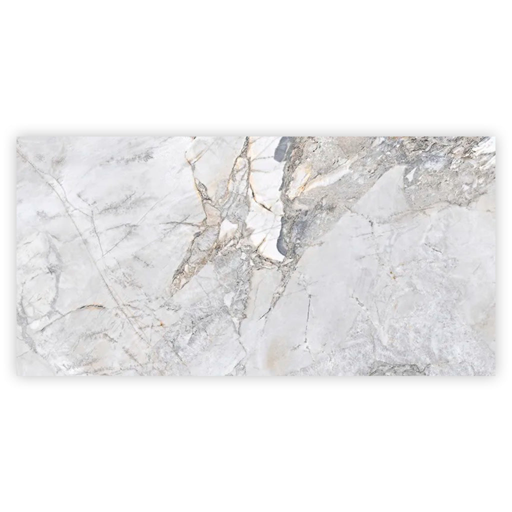 Pale Gray 24x48 Polished Porcelain Large Format Tile (2 pack, 15.5 sq ft/case)
