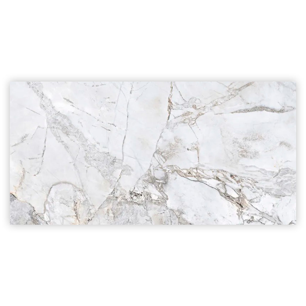 Pale Gray 24x48 Polished Porcelain Large Format Tile (2 pack, 15.5 sq ft/case)