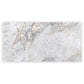 Pale Gray 24x48 Polished Porcelain Large Format Tile (2 pack, 15.5 sq ft/case)