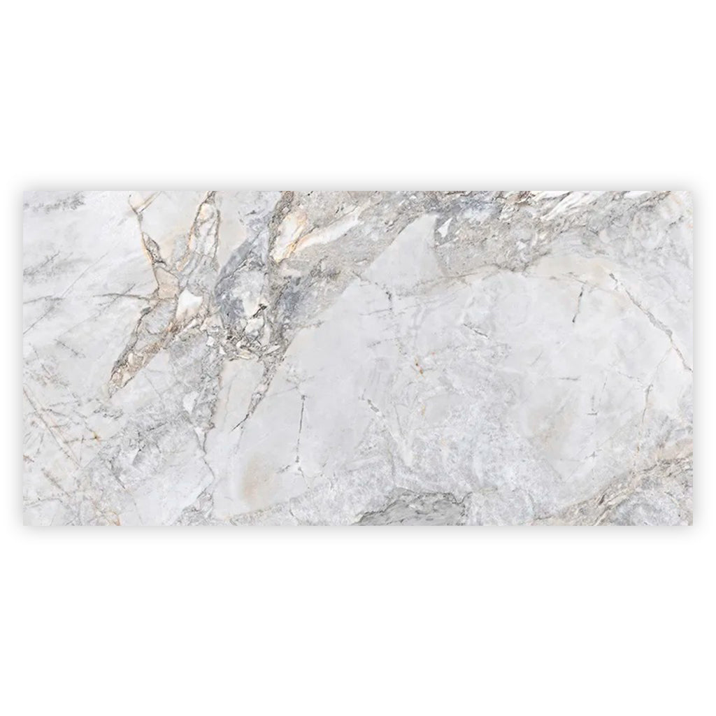 Pale Gray 24x48 Polished Porcelain Large Format Tile (2 pack, 15.5 sq ft/case)