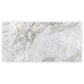 Pale Gray 24x48 Polished Porcelain Large Format Tile (2 pack, 15.5 sq ft/case) - Sample