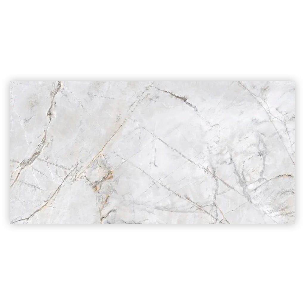 Pale Gray 24x48 Polished Porcelain Large Format Tile (2 pack, 15.5 sq ft/case)