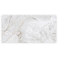 Pale Gray 24x48 Polished Porcelain Large Format Tile (2 pack, 15.5 sq ft/case) - Sample