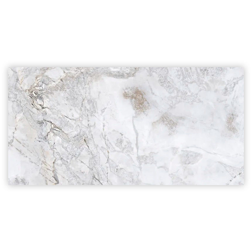 Pale Gray 24x48 Polished Porcelain Large Format Tile (2 pack, 15.5 sq ft/case)