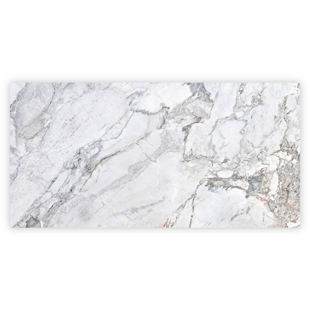 Pale Gray 24x48 Polished Porcelain Large Format Tile (2 pack, 15.5 sq ft/case)