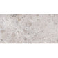 Splendor 24x48 Petra Gray Porcelain Large Format Veining Wall and Floor Tile (2 Pack, 15.5 sq ft/case) - Sample