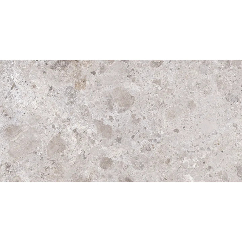 Splendor 24x48 Petra Gray Porcelain Large Format Veining Wall and Floor Tile (2 Pack, 15.5 sq ft/case) - Sample