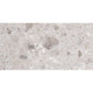 Splendor 24x48 Petra Gray Porcelain Large Format Veining Wall and Floor Tile (2 Pack, 15.5 sq ft/case) - Sample