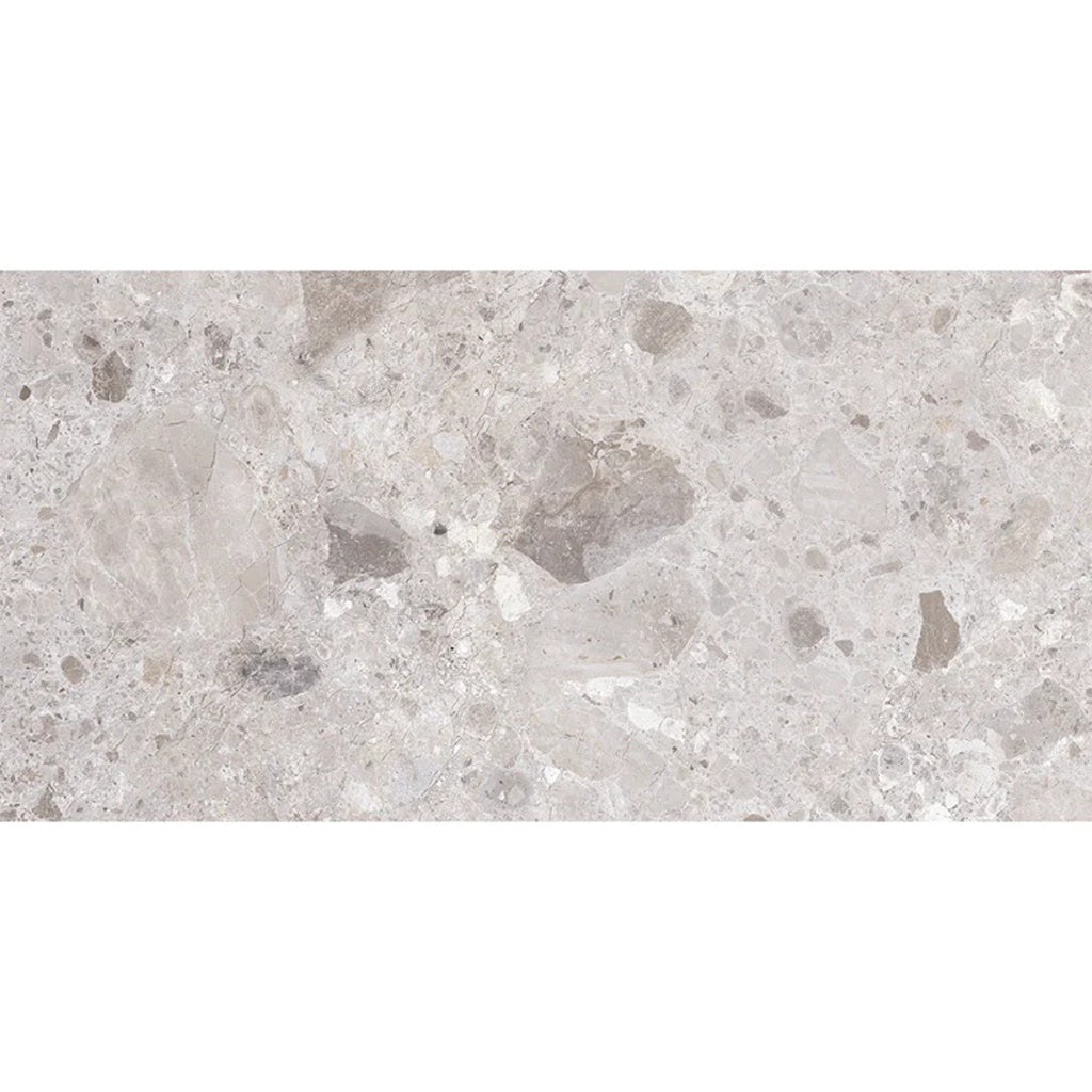 Splendor 24x48 Petra Gray Porcelain Large Format Veining Wall and Floor Tile (2 Pack, 15.5 sq ft/case) - Sample