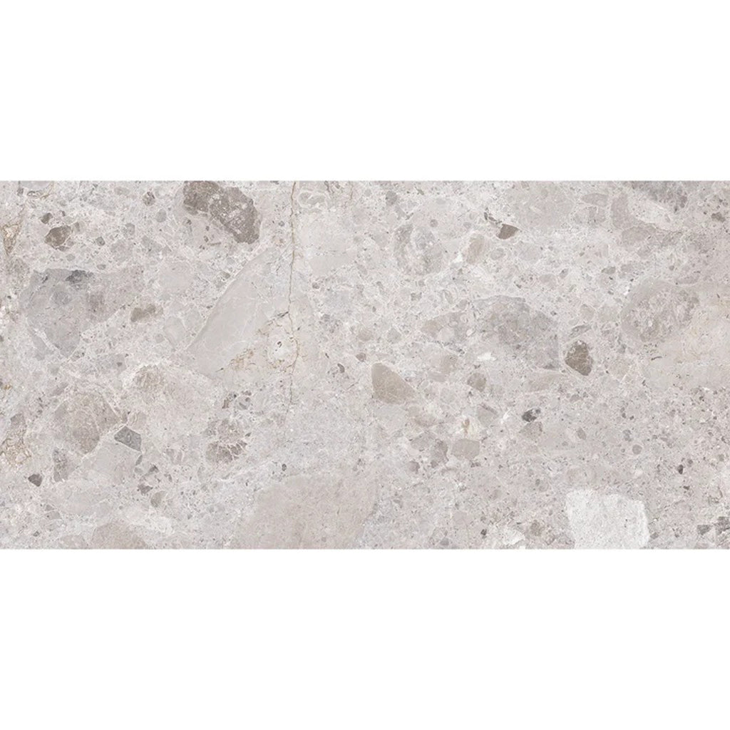 Splendor 24x48 Petra Gray Porcelain Large Format Veining Wall and Floor Tile (2 Pack, 15.5 sq ft/case) - Sample