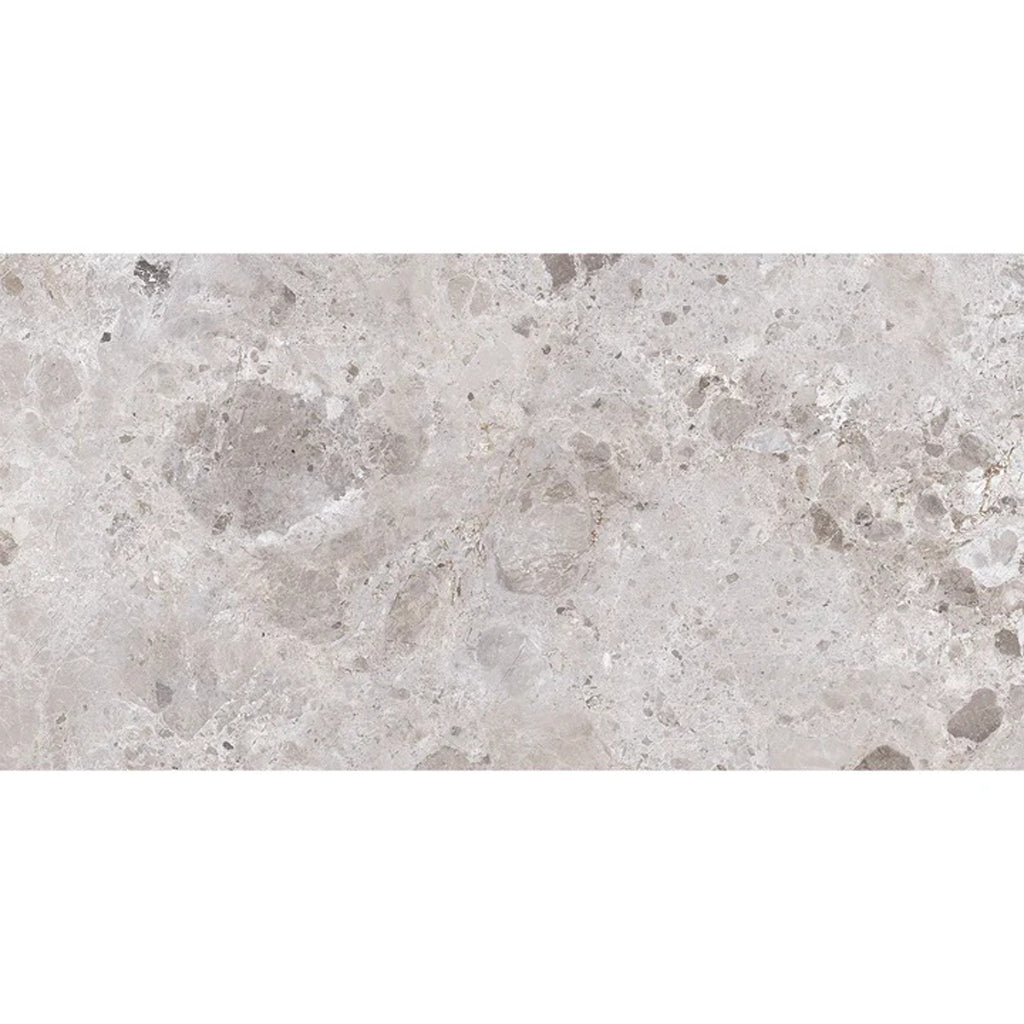 Splendor 24x48 Petra Gray Porcelain Large Format Veining Wall and Floor Tile (2 Pack, 15.5 sq ft/case) - Sample
