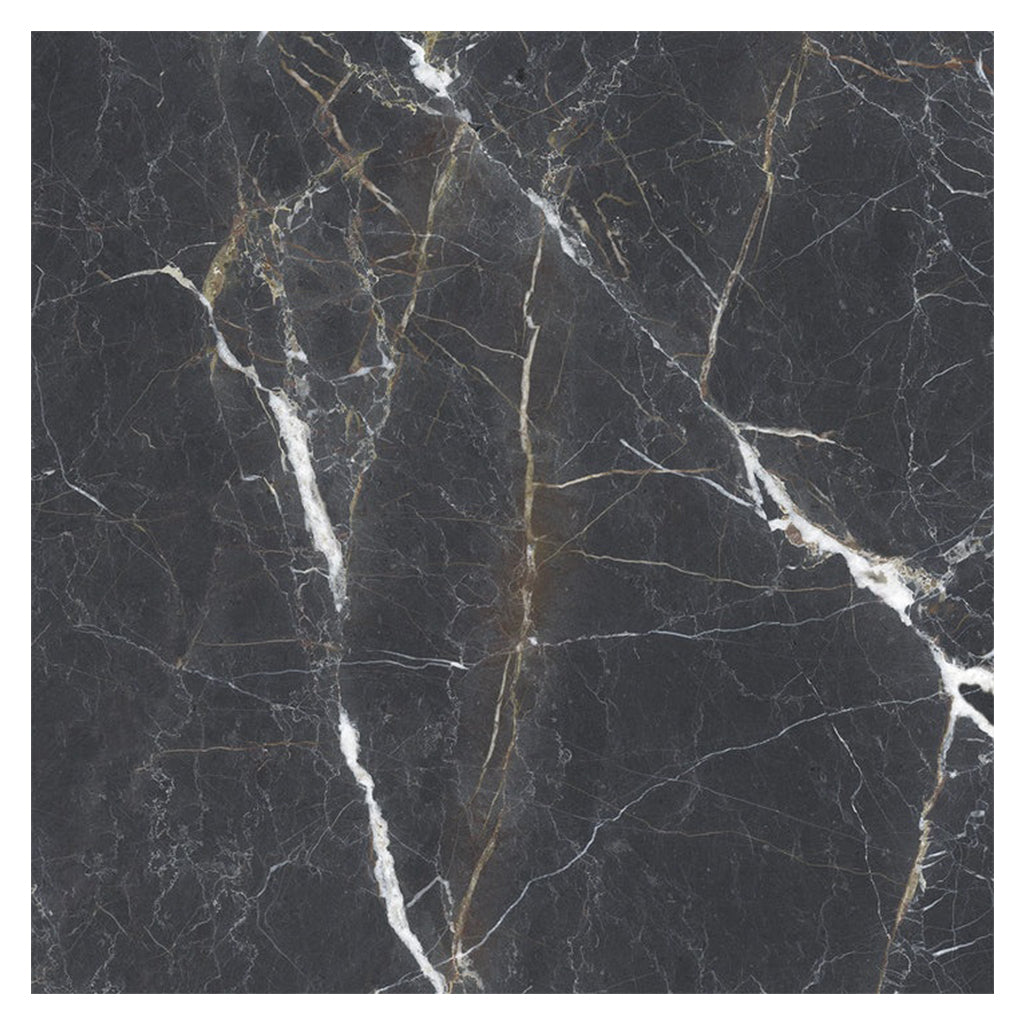 Splendor 48x48 Charcoal Black Porcelain Large Format Sqaure Veining Wall and Floor Tile (1 Pack, 15.5 sq ft/case) - Sample