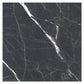Splendor 48x48 Charcoal Black Porcelain Large Format Sqaure Veining Wall and Floor Tile (1 Pack, 15.5 sq ft/case) - Sample