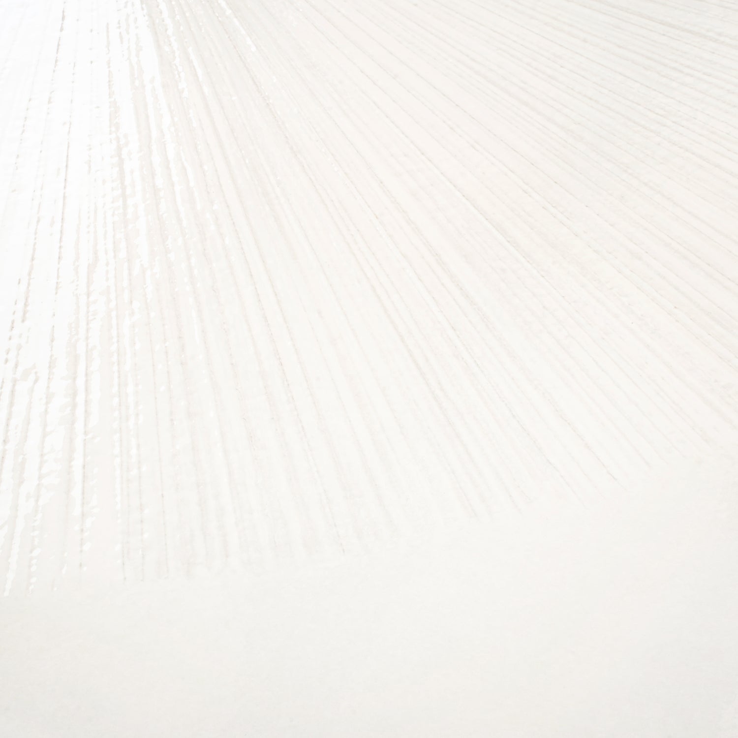 Imprint 36x36 White Porcelain Large Format Square Dandelion Wall and Floor Tile (2 Pack, 17.67 sq ft/case) - Sample