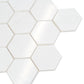 Snow White 10x12 Polished Hexagon Thassos Marble Mosaic Tile (5 pack, 4.46 sq ft/case)