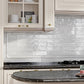 White 2.58 in. x 8 in. Polished Ceramic Subway Tile (5.38 sq ft/case)