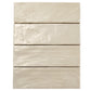 Light Tea Green 2.5x8 Glossy Matte Subway Ceramic Tile (38 pack, 5.38 sq ft/case)